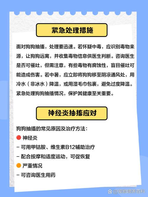 狗狗抽搐怎么急救