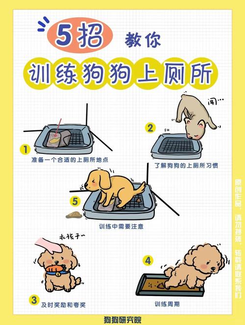 如何让小狗养成在外面大小便的习惯?