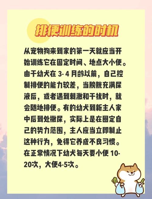 怎么教训狗狗在外面大小便?