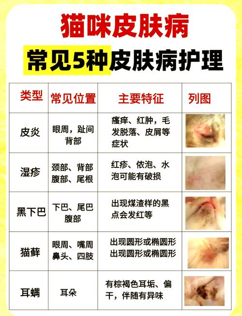 小猫咪得了猫癣怎么办去药店买什么药