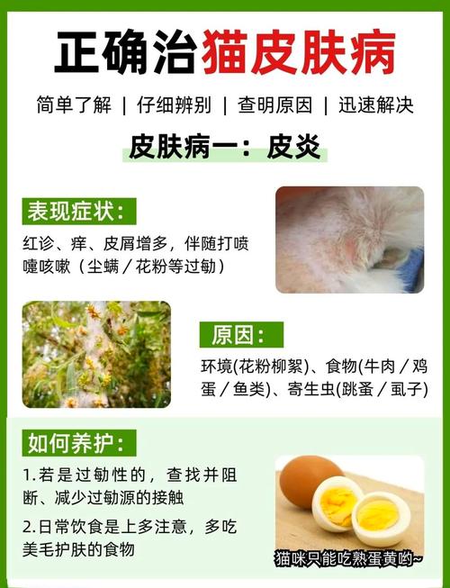 小猫得皮肤病怎么办?