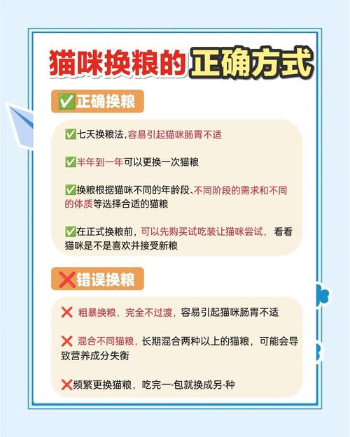 经常换猫粮对猫咪好吗