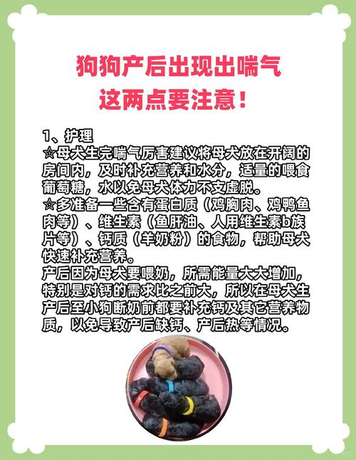 狗狗夜里喘气急促坐立不安