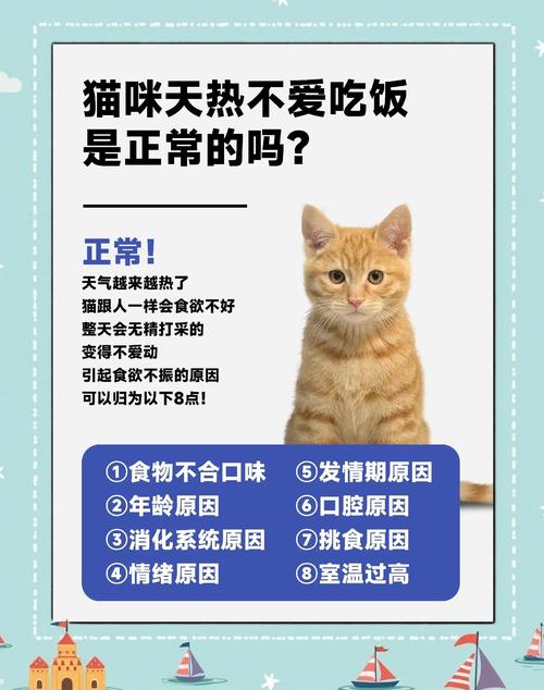 猫咪食欲不振但精神还好是怎么回事呢?