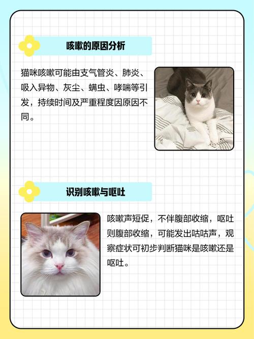 猫咳嗽的症状以及解决办法?