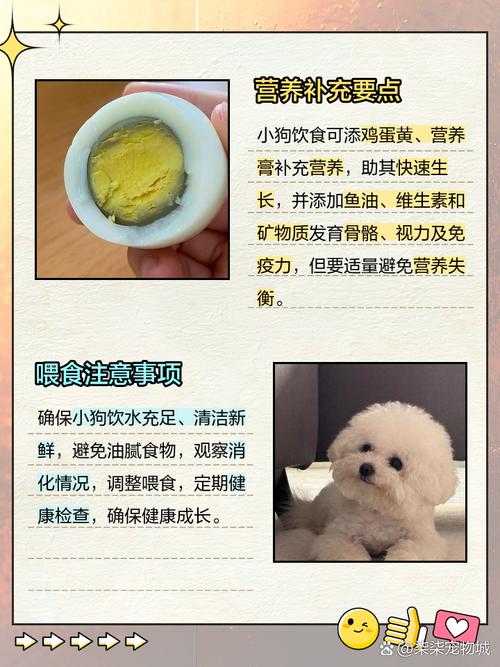 40多天的小狗狗吃什么