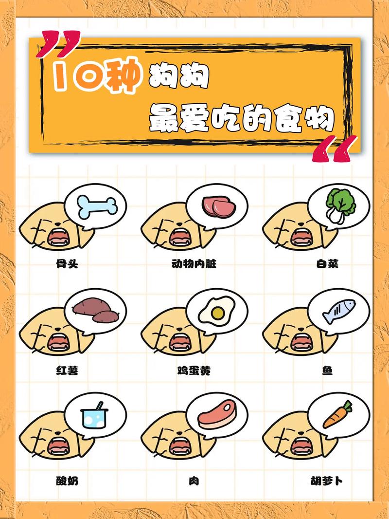 小狗狗喜欢吃什么食物
