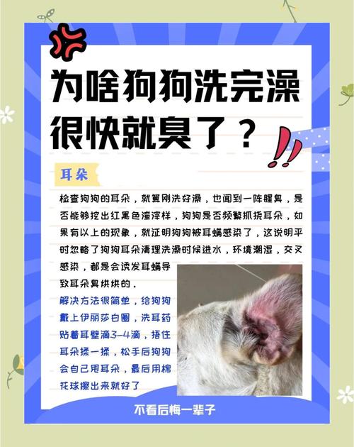 狗狗打完三针疫苗可以洗澡吗