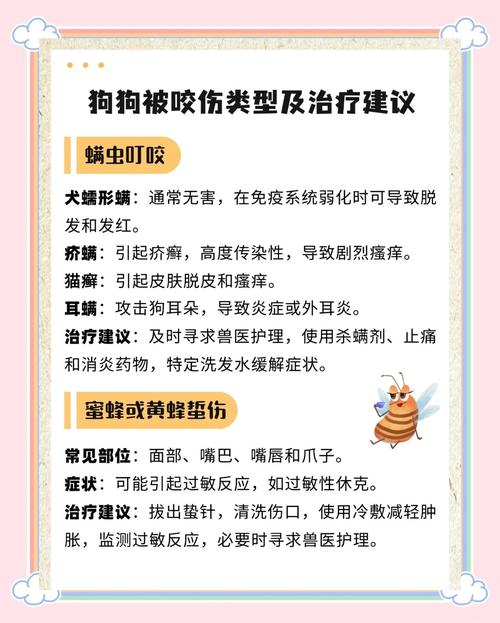 夏天狗放室外被蚊子咬怎么办