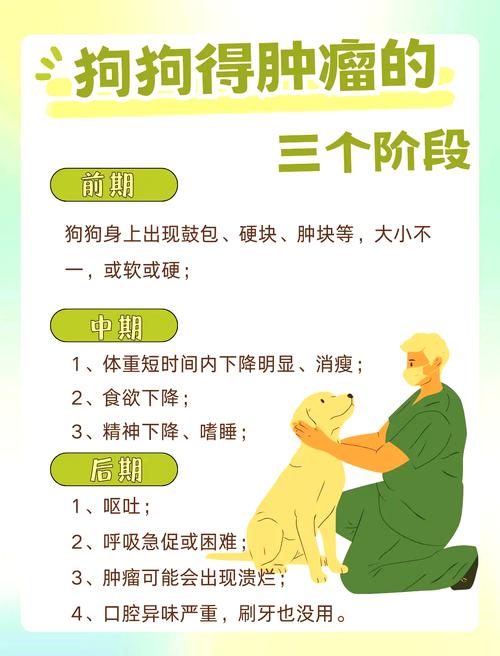 肿瘤快消治狗狗得淋巴瘤么?