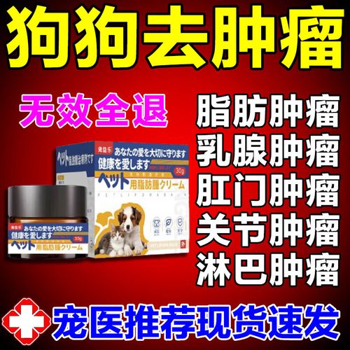 狗狗淋巴癌可以治愈吗