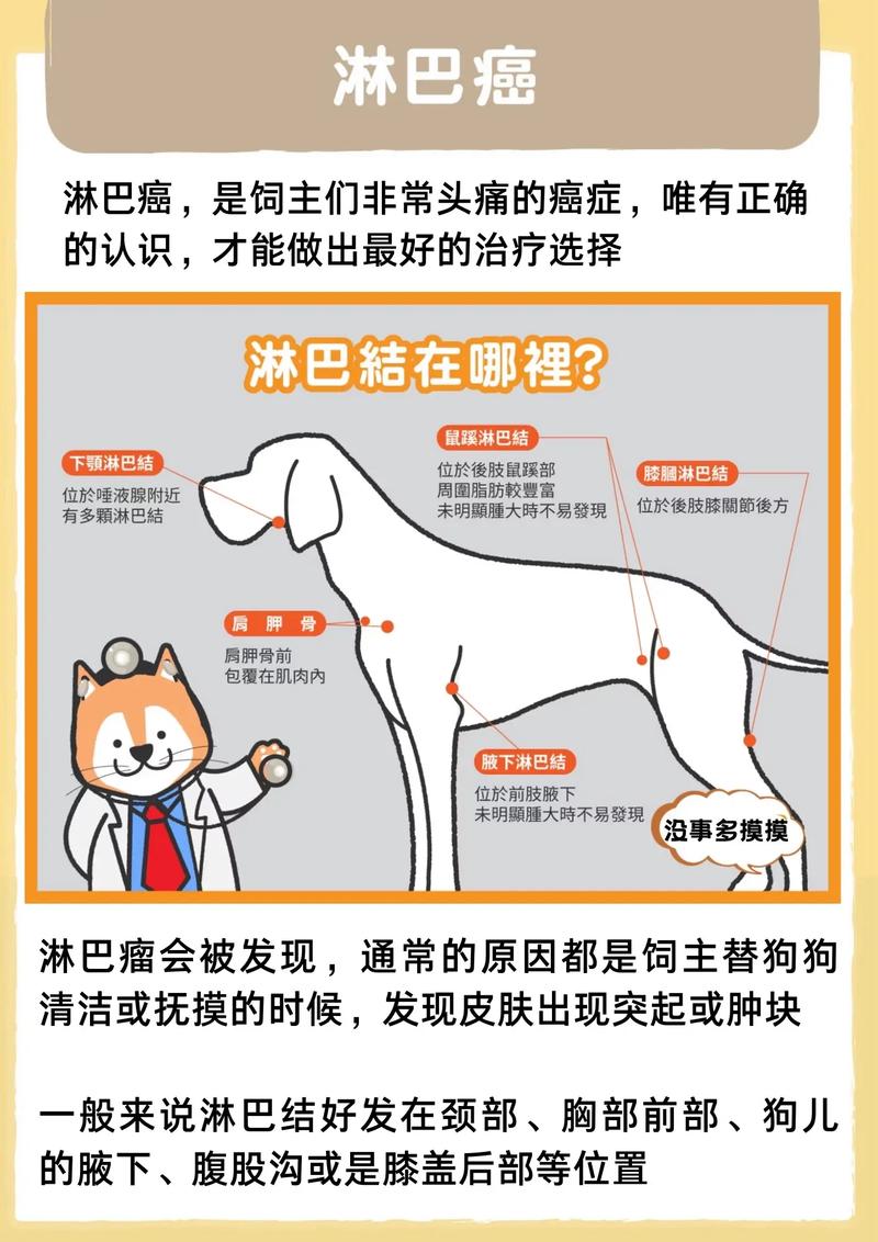 狗狗淋巴肿瘤呼吸困难怎么办