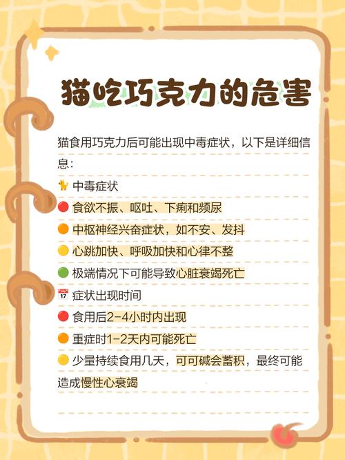 怎么告诉猫咪它不能吃巧克力了