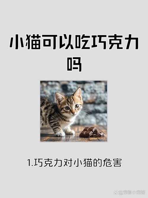 猫咪吃一点点巧克力会不会死
