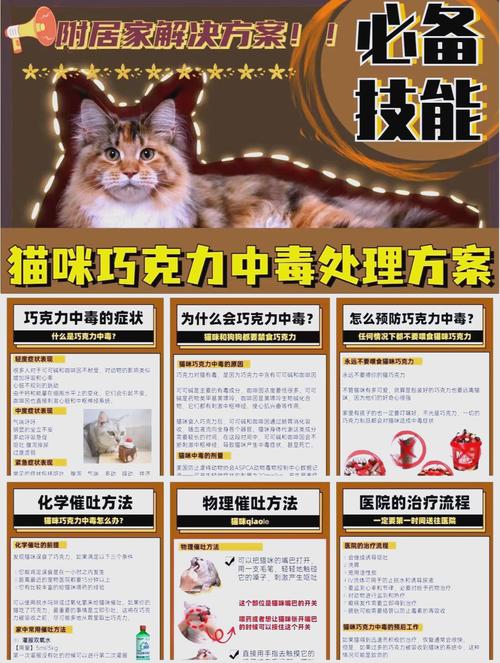 猫咪吃巧克力有什么坏处