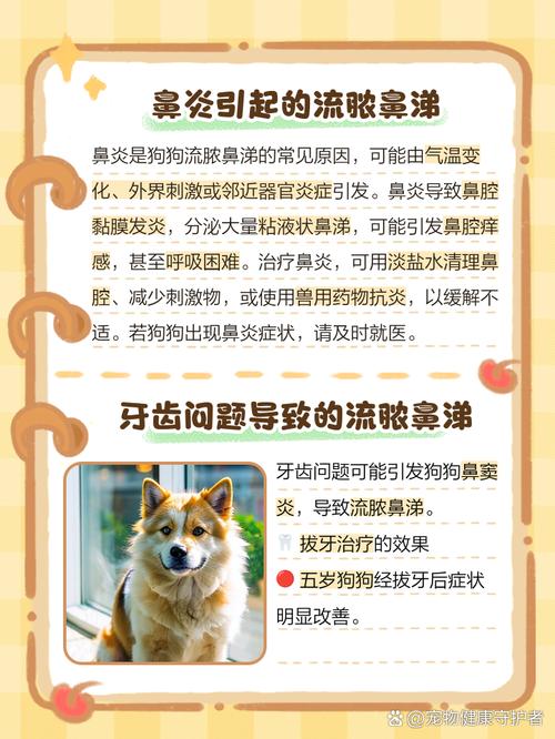 狗狗流脓鼻涕怎么办啊