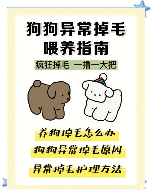 狗狗掉毛严重是什么原因