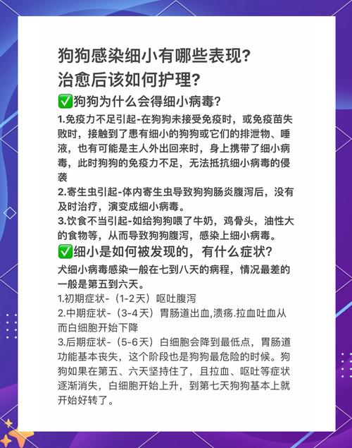 狗狗得了细小病毒是否能治好