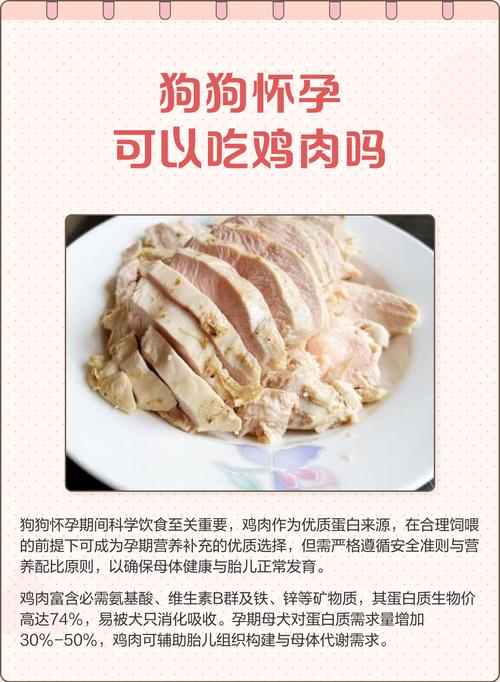 狗狗怀孕能吃鸡肉吗