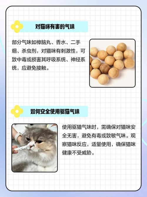 猫讨厌什么气味赶走猫