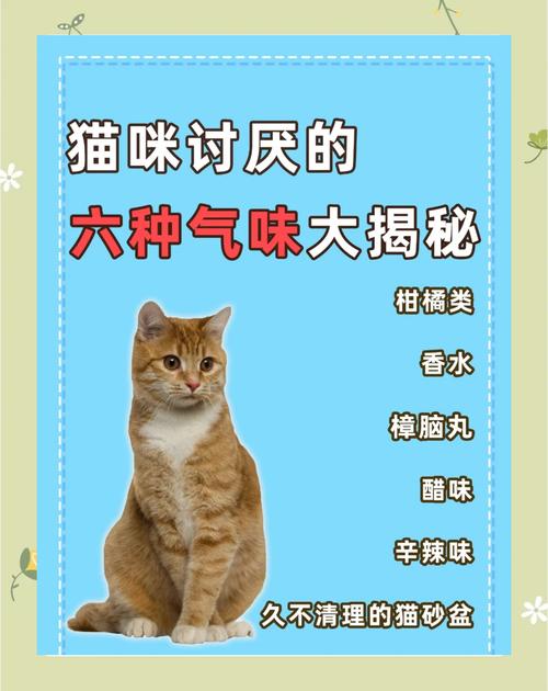 不瞒你说,猫咪“最讨厌”这几种气味,一闻到就跑!