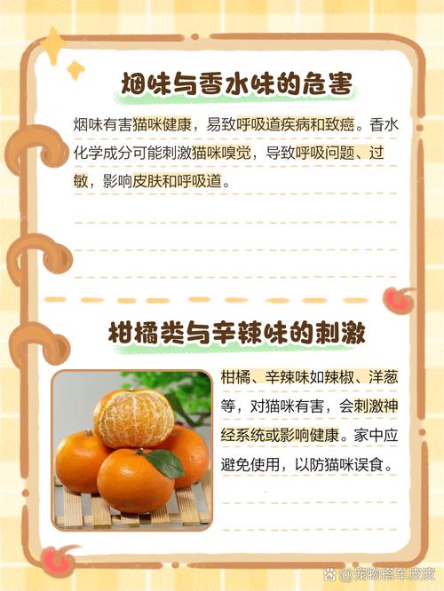 猫讨厌什么怎么防止猫咪靠近