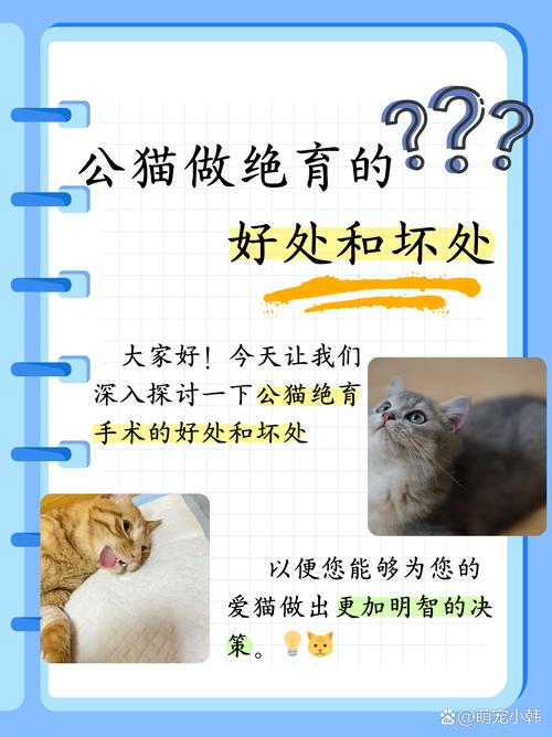 猫做绝育手术的好处和坏处