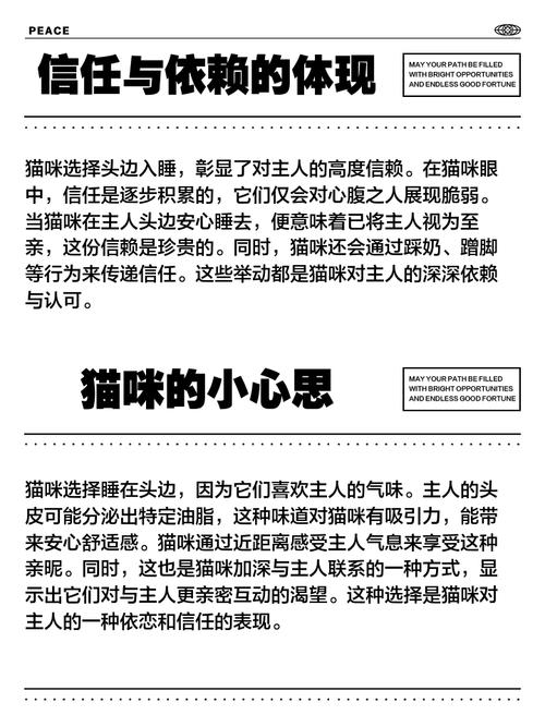 猫为什么喜欢睡主人的头边?