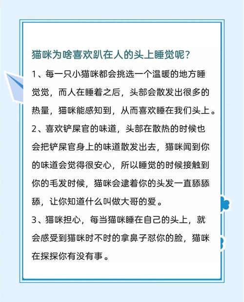 猫咪为什么要守着床头