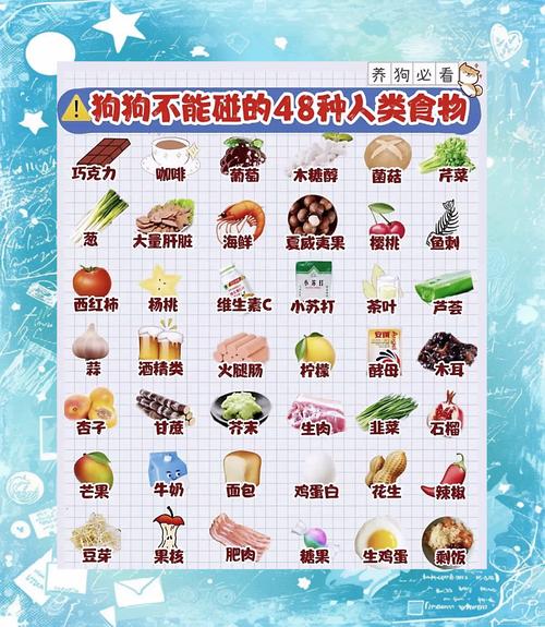 狗狗有哪些东西不能吃的