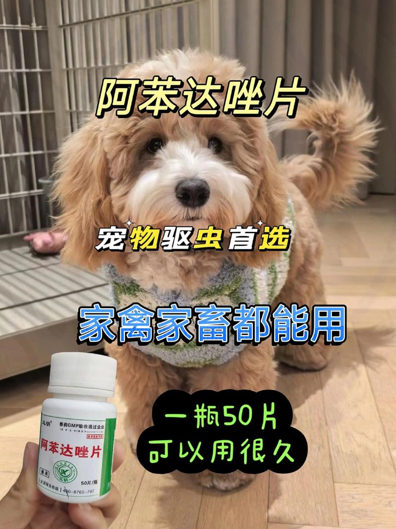 狗拉稀吃驱虫药吗
