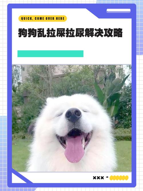 小狗乱拉屎拉尿能打吗