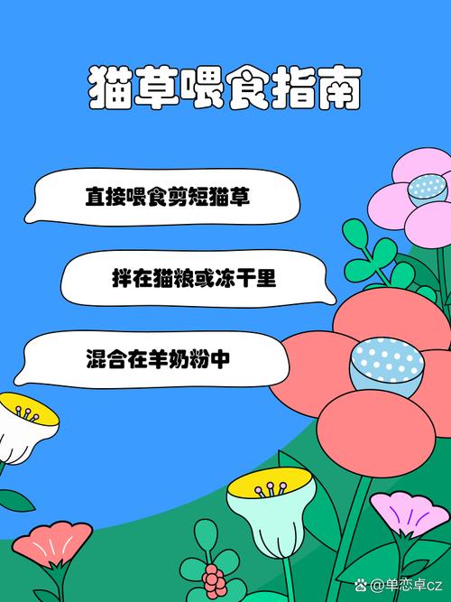 猫草怎么喂猫咪多大可以喂食猫草