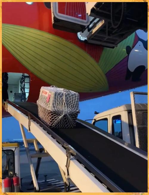 狗狗坐飞机托运需要什么证件