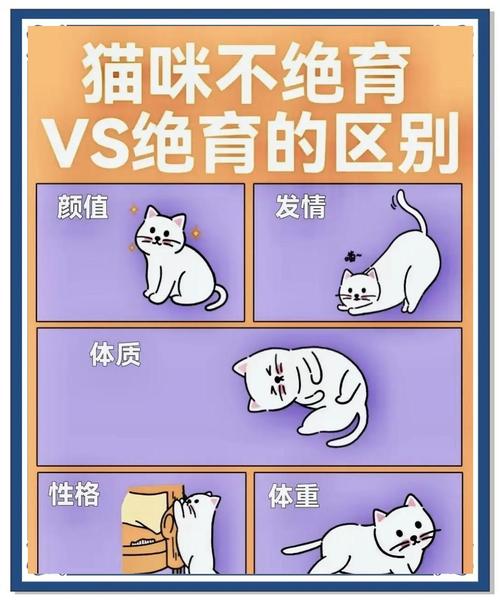 猫绝育以后会有什么变化