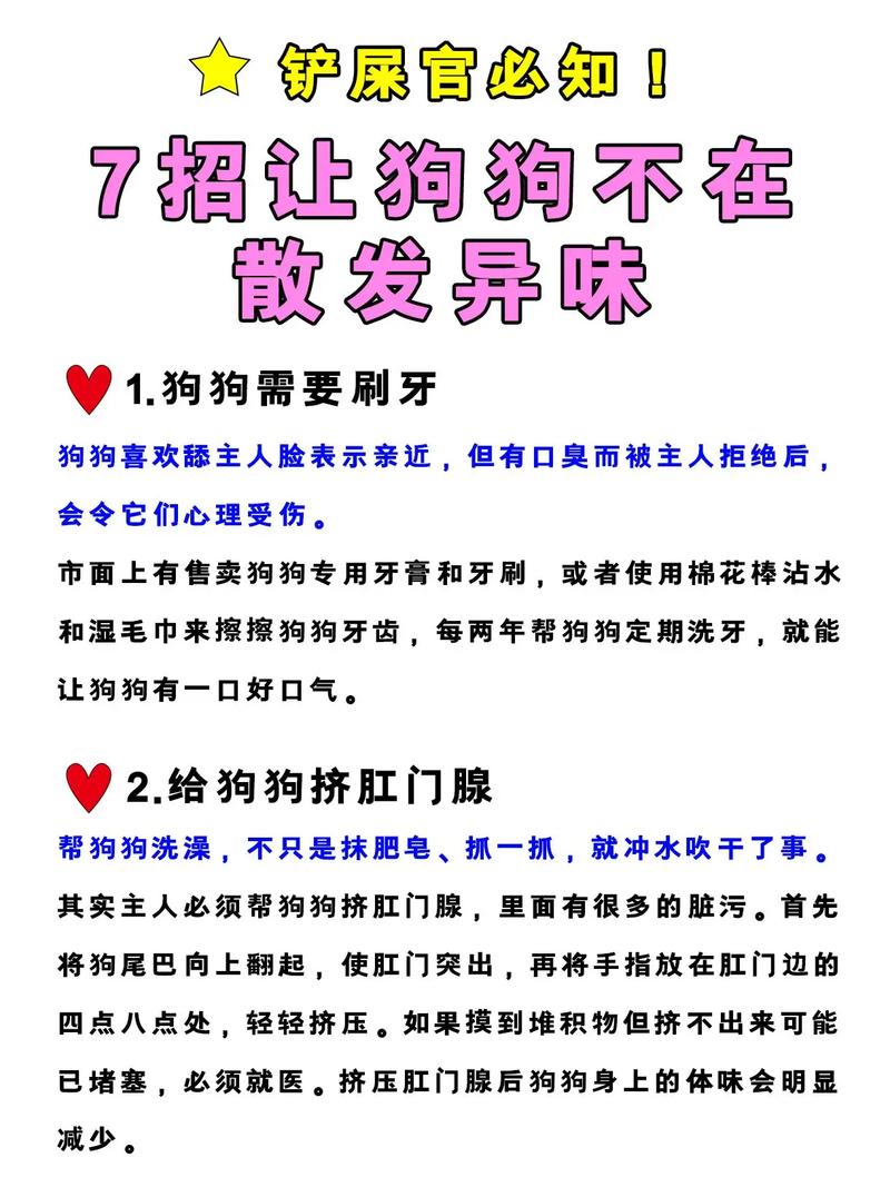 怎样去除狗狗身上的味道