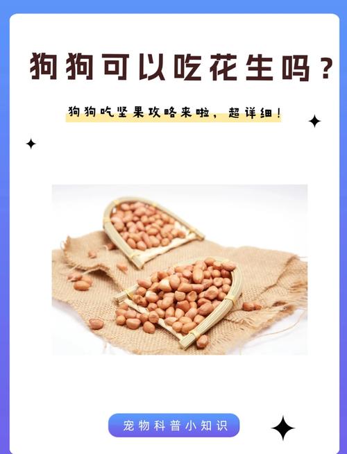 请问狗狗可以吃榛子,花生,瓜子之类这些坚果类食物吗?