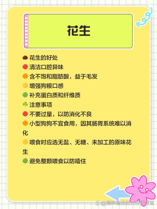 狗能吃榛子仁么?