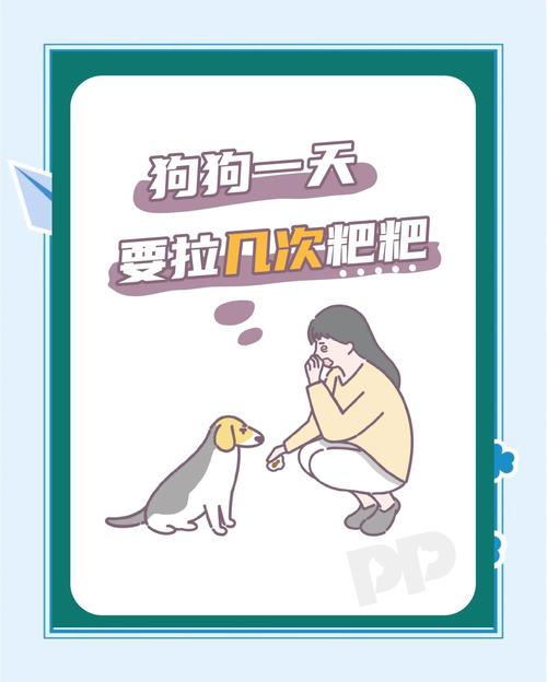 狗狗多久拉一次粑粑