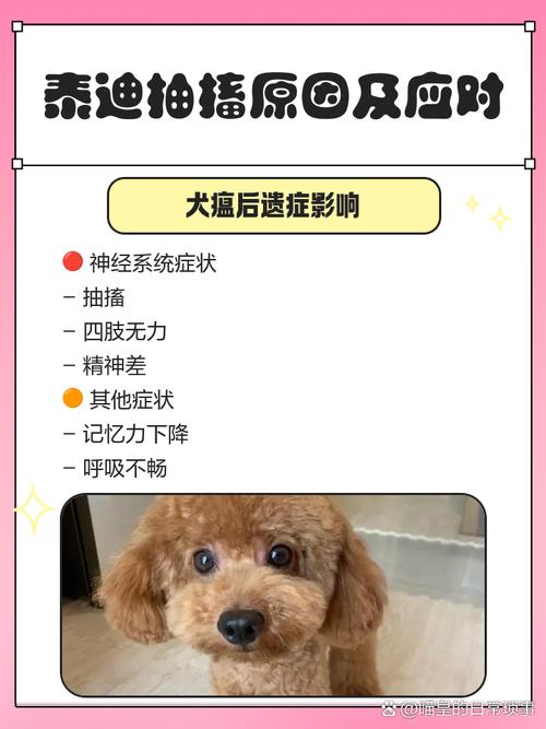 狗狗打完疫苗三四天了,不吃不喝拉稀吐粘沫,趴在那也不动怎么办_百度知...