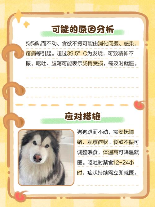 狗狗打完疫苗后会有什么不良反应吗?