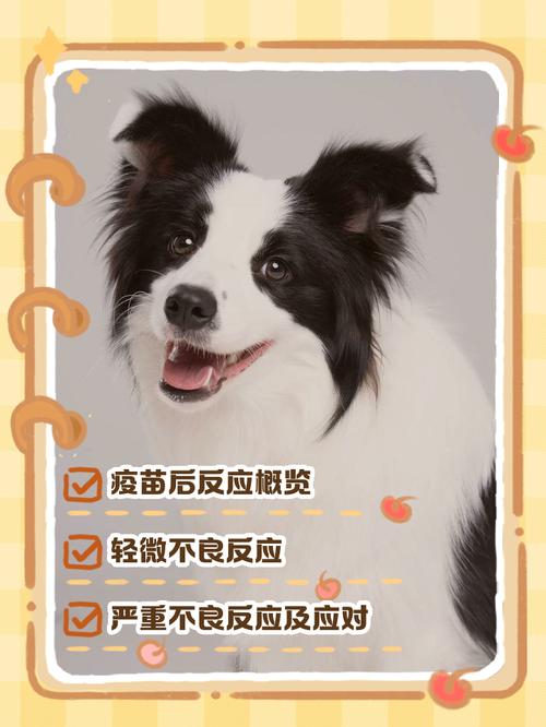 狗狗打完疫苗会有什么反应