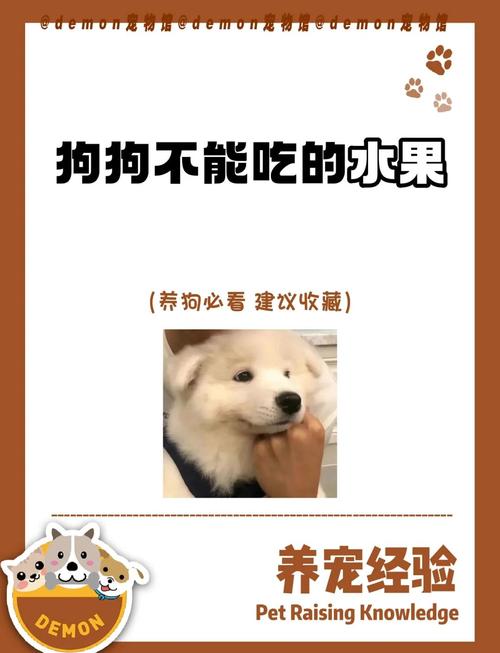 为什么狗狗不可以吃牛油果