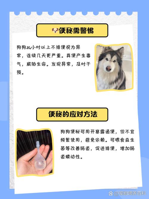 小狗一直拉不出来便便怎么办?处理狗狗便秘的三大措施