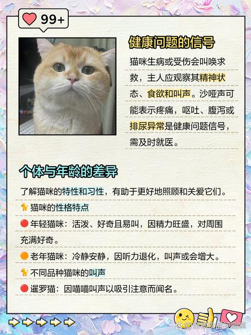 猫老想出去,不让出去就不停叫,怎么办?