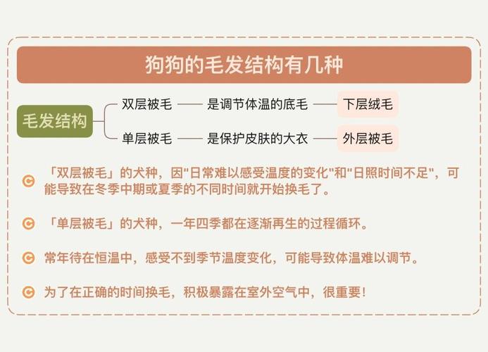 狗狗一般到什么时候换毛
