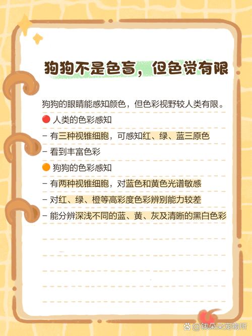 狗看见的颜色是什么色