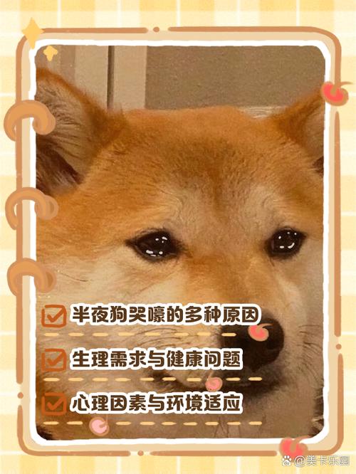 狗狗挨骂为什么抽泣