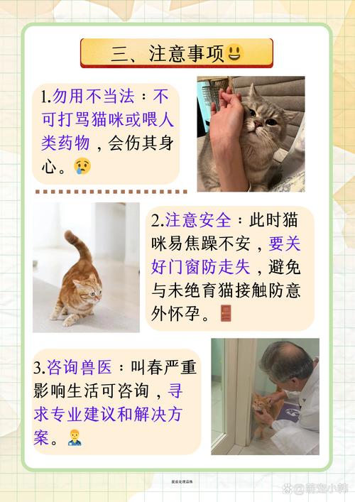 猫叫春吵死了怎么办