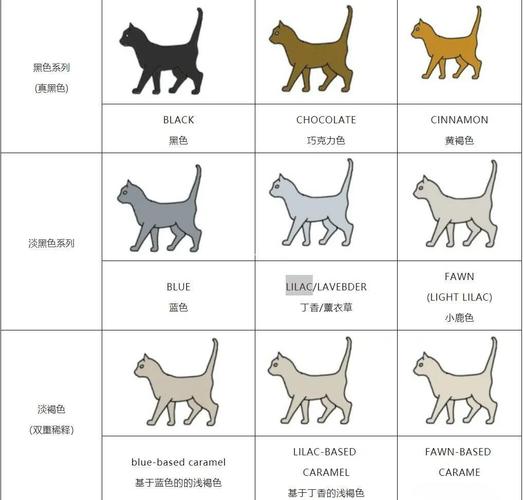 猫咪的世界是什么颜色的